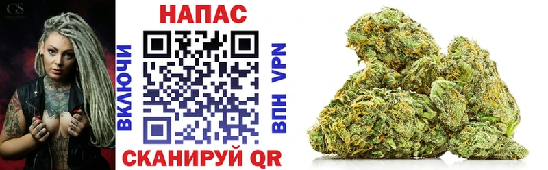 Галлюциногенные грибы Болгар