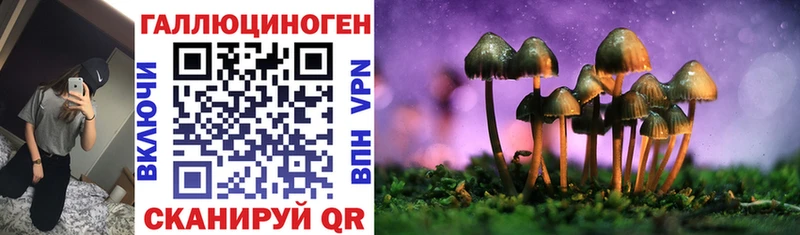Галлюциногенные грибы Psilocybe  Купить где  Болгар 